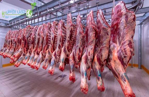  أسعار اللحوم البلدى فى الأسواق اليوم الإثنين 